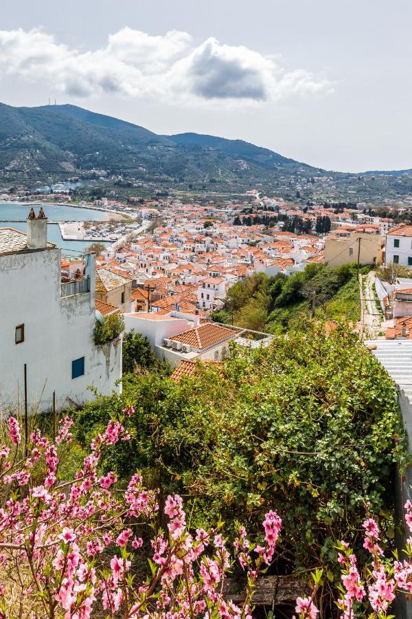 Vasia House Skopelos Exterior foto